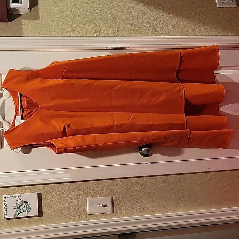 Allison Woods dress
